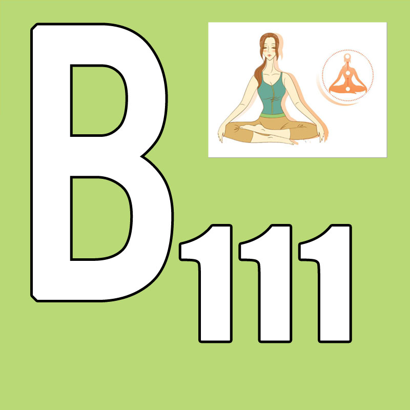 Yoga Fitness Course - Gran Oferta Último Lanzamiento 2026.Q1 Nuevo